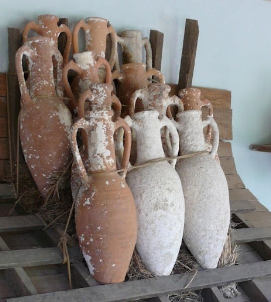 Amphora Amphora