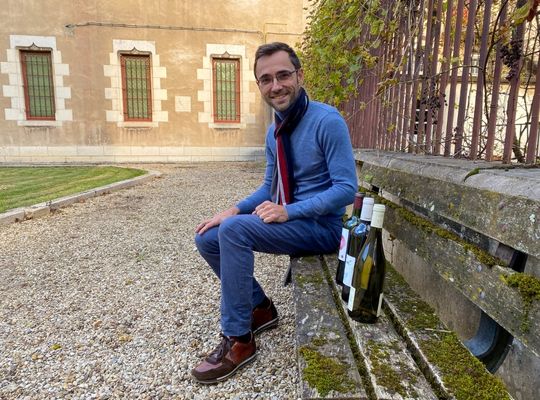 Nicolas Fouilleroux, DipWSET Nicolas Fouilleroux, DipWSET