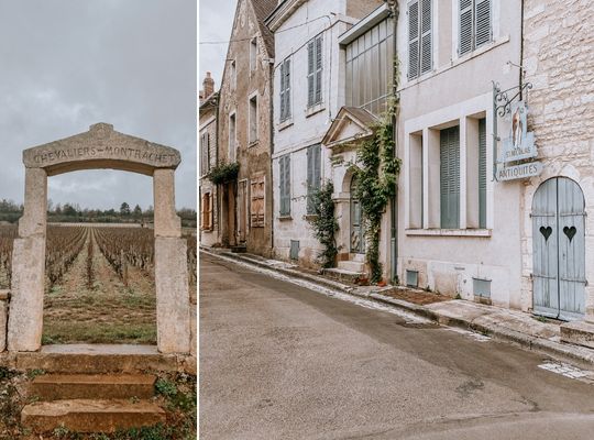 Grand cru wine from the Clos de Vougeot vineyard and Chablis region Grand cru wine from the Clos de Vougeot vineyard and Chablis region