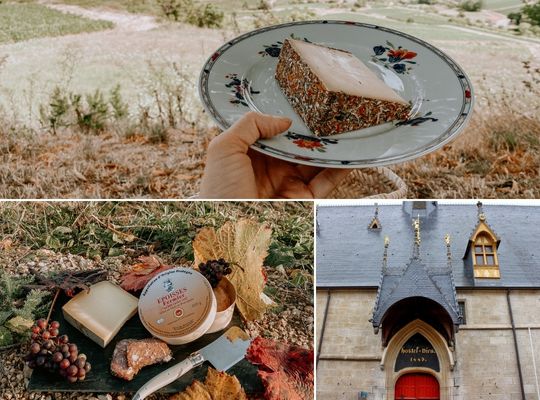 Vineyard Cheese Vineyard Cheese